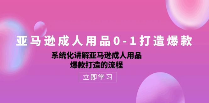 （10493期）亚马逊成人用品0-1打造爆款：系统化讲解亚马逊成人用品爆款打造的流程插图