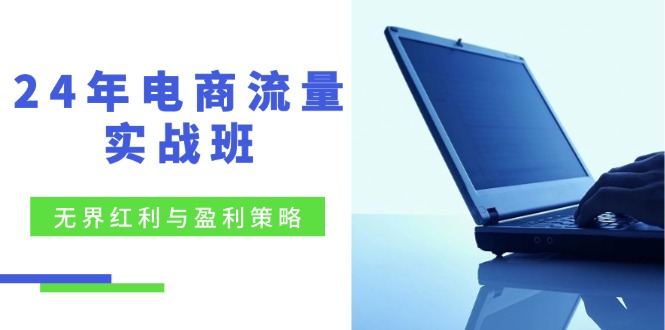 （12168期）24年电商流量实战班：无界 红利与盈利策略，终极提升/关键词优化/精准…插图